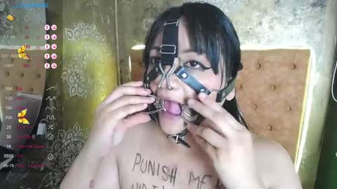   online show from February 2025 11:16:02 PM