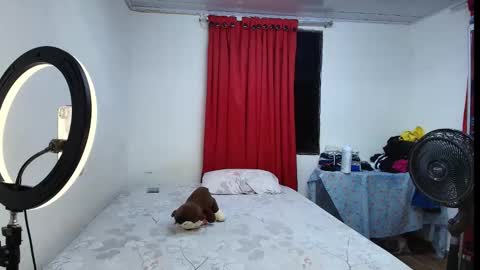 jesusliz online show from February 2026 06:01:01 AM