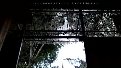 jesuyave online show from April 2026 05:45:02 PM