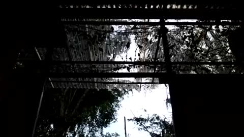 jesuyave online show from April 2026 06:10:01 PM