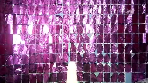 Ale online show from March 2025 12:57:02 PM