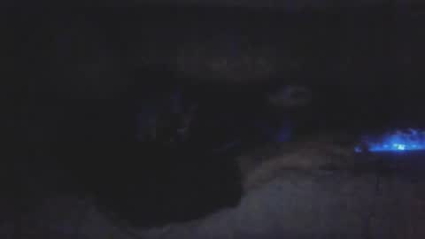 jetjon762844 online show from February 2026 10:41:01 AM