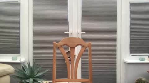 Jigz1986 online show from February 2025 03:53:01 PM