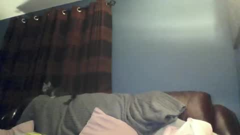 Snapshot of jilfyj chatting on March 2026 12:49:02 AM jilfyj online show from March 2026 12:49:02 AM