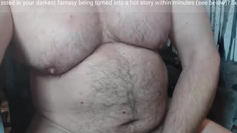 Snapshot of jimbeefbear chatting on February 2026 08:15:01 PM Jim online show from February 2026 08:15:01 PM