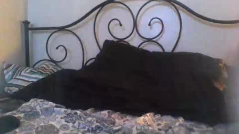 Snapshot of jimz169 chatting on April 2026 12:08:01 AM Jimz14u online show from April 2026 12:08:01 AM