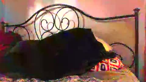 Snapshot of jimz169 chatting on June 2026 12:27:01 AM Jimz14u online show from June 2026 12:27:01 AM