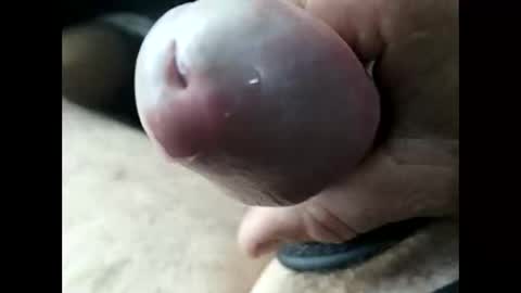 jjbanks5721928 online show from February 2026 10:52:02 PM