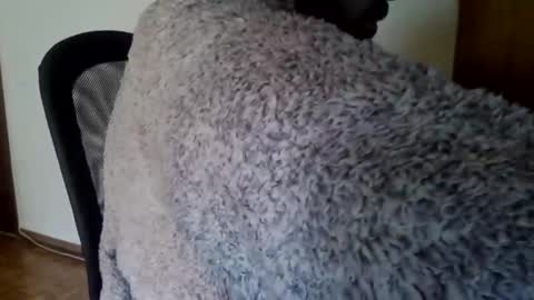 Snapshot of joaodias_18 chatting on December 2024 02:16:02 PM joaodias_18 online show from December 2024 02:16:02 PM