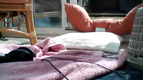 Joe online show from July 2026 02:19:02 PM