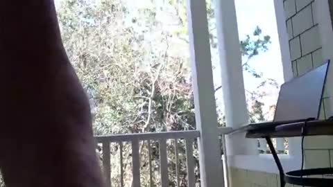 joesmithward online show from February 2026 05:27:02 PM