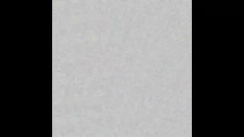 joey1smart online show from March 2026 02:37:01 AM