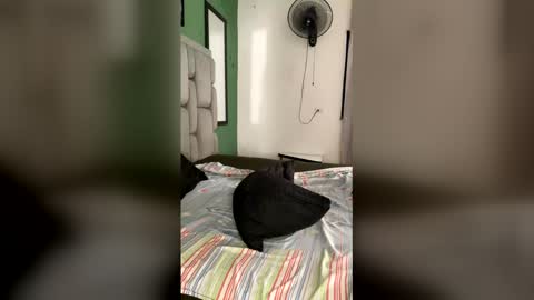 johan online show from January 2026 12:53:01 PM