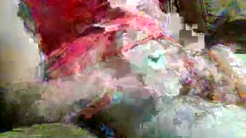 john249148 online show from May 2026 01:34:01 AM