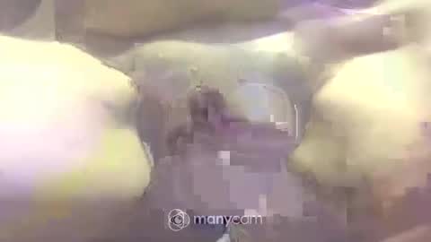 johnnyshung1 online show from March 2025 05:04:01 PM