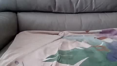 Snapshot of johnpauljones chatting on March 2025 08:10:02 PM bigger than some online show from March 2025 08:10:02 PM