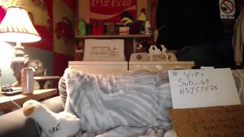 Snapshot of johstondude chatting on May 2026 12:29:02 AM Johston online show from May 2026 12:29:02 AM