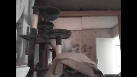 jojo60000529566 online show from March 2025 03:15:02 PM