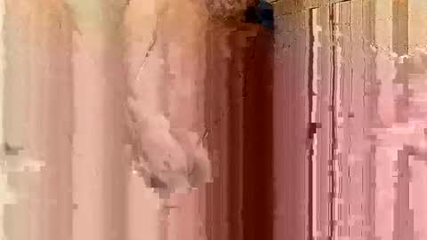 jonathanrossmyers858 online show from January 2025 03:48:01 AM