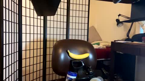 Snapshot of jondoe3657 chatting on January 2025 03:58:02 AM jondoe3657 online show from January 2025 03:58:02 AM