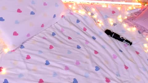 Rose online show from March 2025 01:22:01 AM