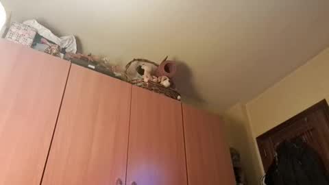 juanka85564456 online show from January 2025 09:43:01 PM