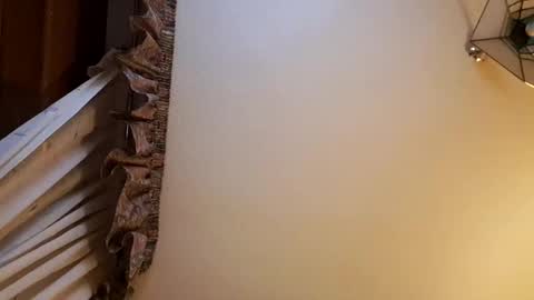 juanka85564456 online show from February 2025 11:56:02 PM