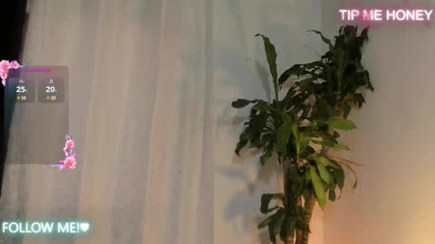 Juan Miguel online show from February 2025 11:53:01 AM