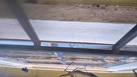 Carlos online show from January 2025 07:31:02 PM