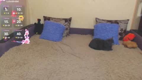 Jul online show from February 2026 07:35:01 AM