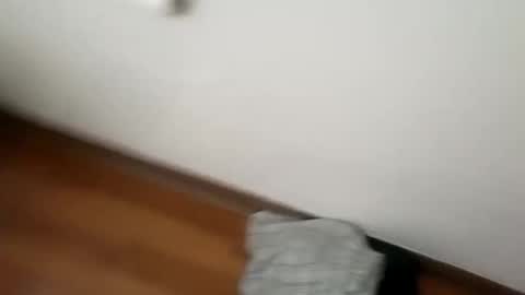 Snapshot of junior69king chatting on January 2025 06:15:02 AM manolito online show from January 2025 06:15:02 AM