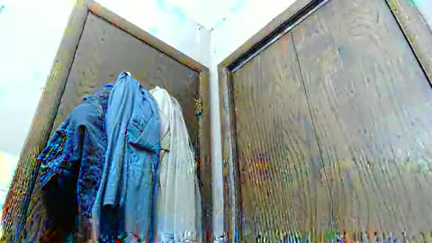 Snapshot of junk_yard_dog chatting on March 2026 01:51:01 PM Dave online show from March 2026 01:51:01 PM