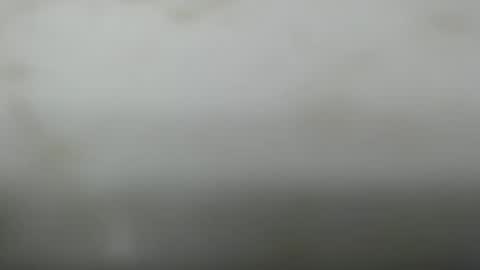 Snapshot of junk_yard_dog chatting on March 2026 02:13:01 PM Dave online show from March 2026 02:13:01 PM