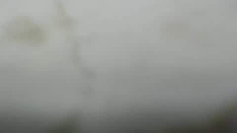 Snapshot of junk_yard_dog chatting on March 2026 01:05:02 PM Dave online show from March 2026 01:05:02 PM