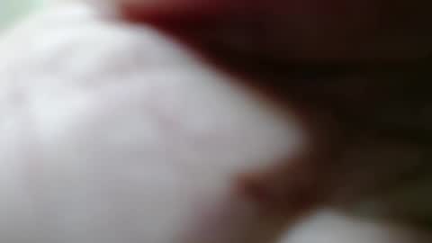 Snapshot of junk_yard_dog chatting on March 2026 12:52:01 PM Dave online show from March 2026 12:52:01 PM