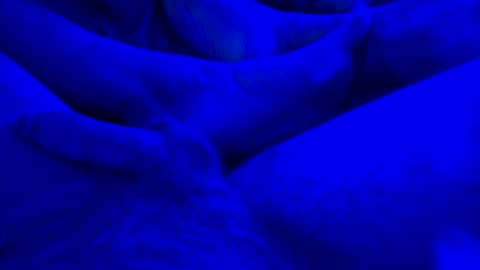 Snapshot of just4funfunfun87 chatting on January 2025 07:59:01 AM Yuri online show from January 2025 07:59:01 AM