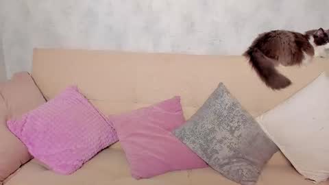 Alex Alexandra online show from June 2026 01:15:01 AM