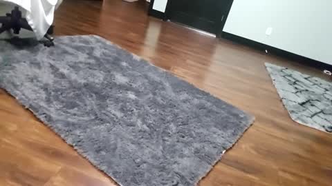 Snapshot of justaskforbiga chatting on January 2026 06:07:02 AM Tohiptwoquit online show from January 2026 06:07:02 AM