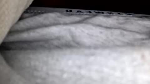 justingodla20 online show from December 2025 02:00:01 PM