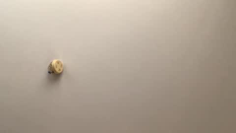 jutt_007 online show from November 2025 04:59:02 AM