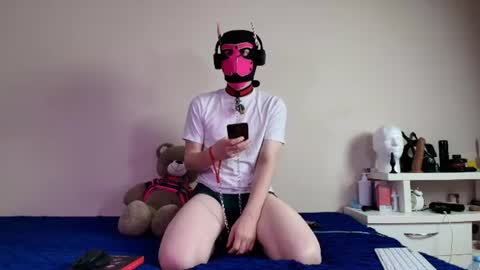 Snapshot of k9_goodboy chatting on June 2026 06:21:02 PM Alex online show from June 2026 06:21:02 PM