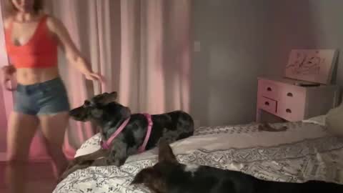 Snapshot of kaileeshy chatting on February 2025 04:54:02 AM Kailee Smile online show from February 2025 04:54:02 AM