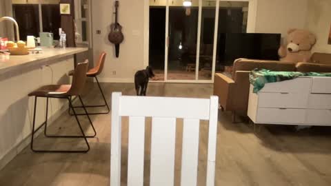 Kailee Smile online show from September 2025 04:39:02 AM