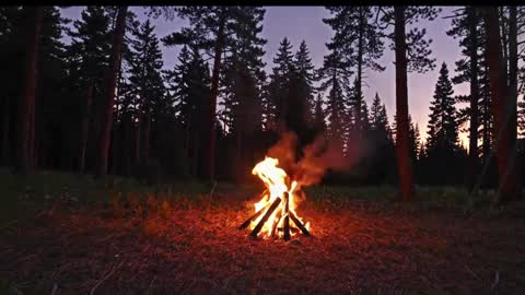 Kailee Smile online show from January 2026 04:26:02 AM