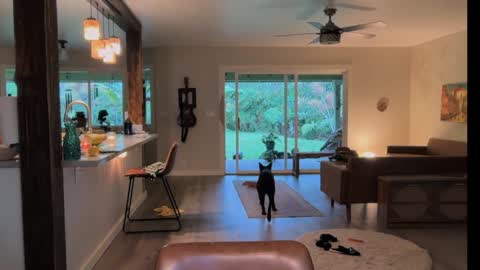 Kailee Smile online show from March 2026 04:12:02 AM