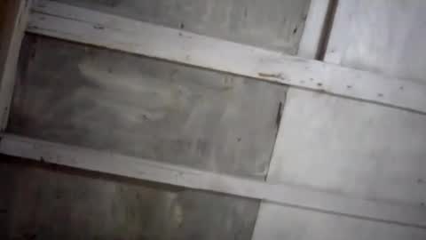 Snapshot of kakaroto30102 chatting on February 2025 08:09:01 AM kakaroto30102 online show from February 2025 08:09:01 AM