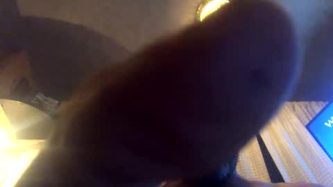 Snapshot of kaneisyours2420 chatting on September 2025 08:06:01 AM Tucker online show from September 2025 08:06:01 AM