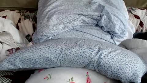 kaonashi69 online show from January 2025 06:21:01 PM