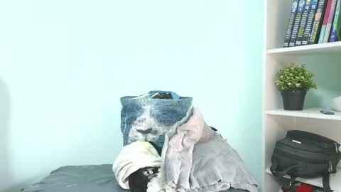 kaory_azumi online show from May 2026 06:58:01 PM