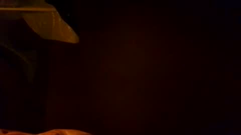 Karla Gonzaless online show from November 2025 06:56:02 AM